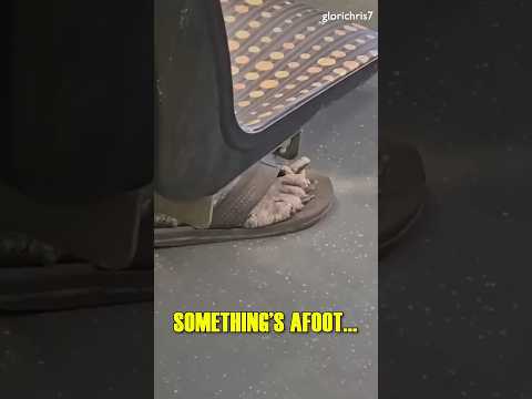 The FOOT