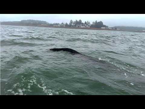 You Should Be Worried About Minnesota.