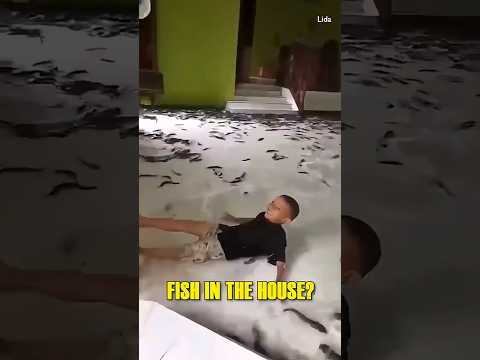 There's FISH in the House!