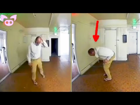 These Viral Moments Defy All Rational Explanation