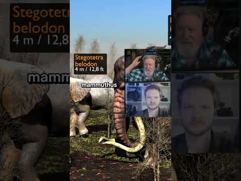 The Giant Mammoths That Once Ruled North America