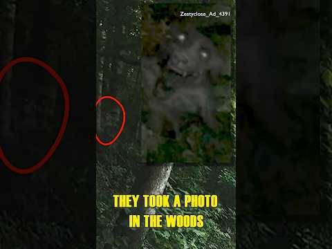 WEREWOLF Caught on Camera?