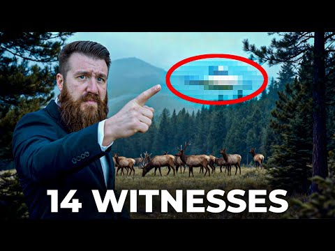 There’s Something VERY WRONG In Our National Forests