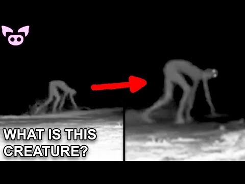 Watch scary videos LIVE!