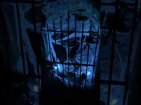 This past weekend I was invited by the Hell Fire Caves to brave their Halloween attraction. 🎃😈👻