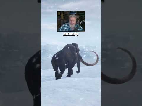 The “Great American Incognitum” Monster