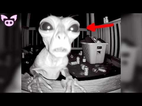 Scary Videos Live Stream with Slapped Ham: Ghosts, Cryptids and...