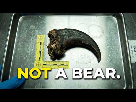 The Government DENIES What's Hunting in These Woods.