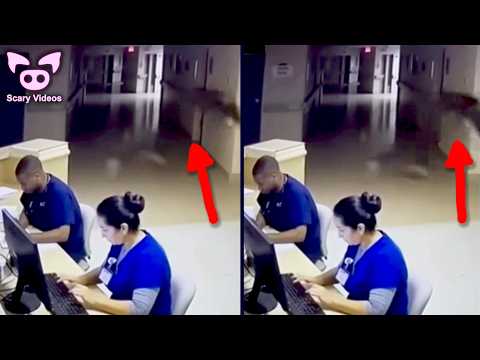 SCARY VIDEOS That No One Can Explain (Ghost Horse Edition)