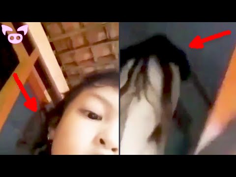 Scary Stuff Caught On Camera In Real Life