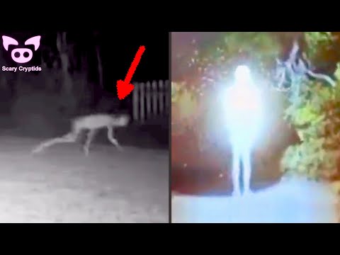 SCARY CRYPTIDS and CREEPY CREATURES Caught on Camera