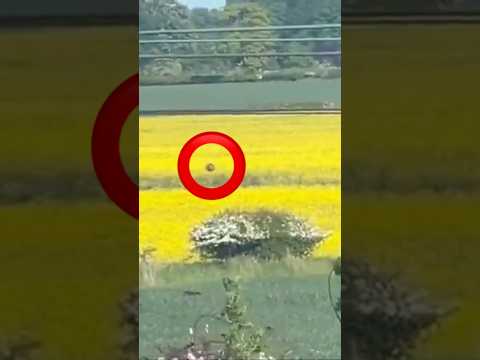 Netherlands Spinning UFO? #uap #aliens #paranormal