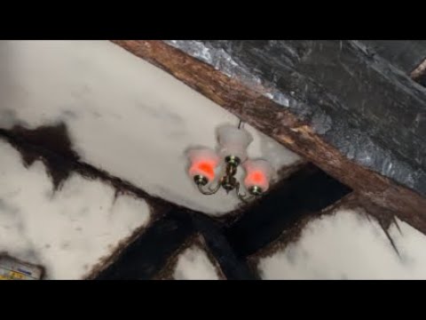 Birthday live investigation from secret location 👻