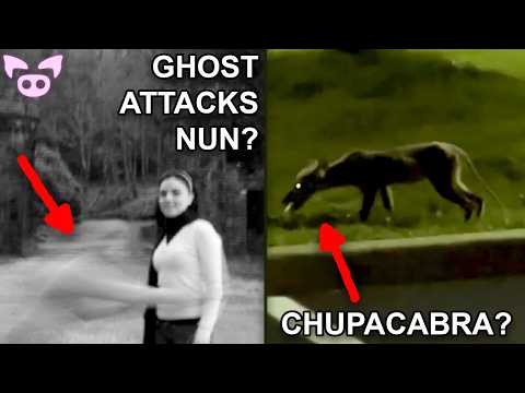 Scary Videos Live Stream with Slapped Ham: Ghosts, Cryptids and...