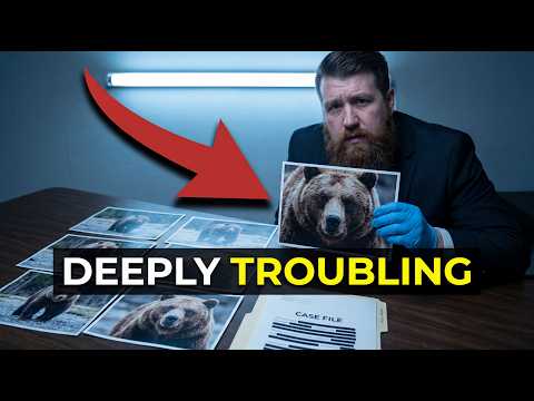 He Took 39 Photos of a Grizzly Bear. The Last One Tells You Everything.