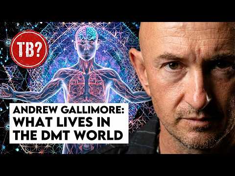 The Basement: Andrew Gallimore | DMT Didn't Take You Somewhere New — It Unlocked What's Always There