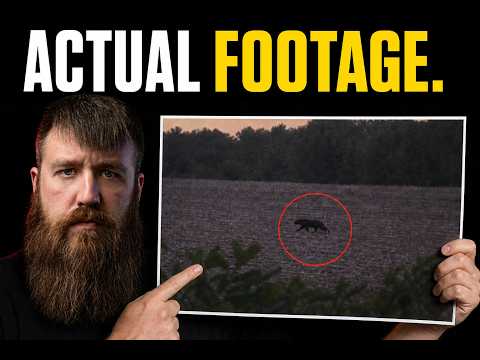 The 2026 Predator Footage Nobody Is Talking About