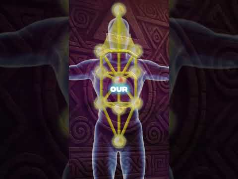 Humans Are Perfectly Positioned in the Cosmic Scale