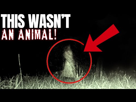 Scariest Videos of 2025 Caught on Camera!