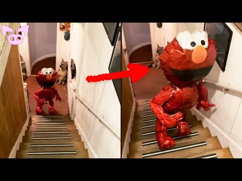 Chilling Things Caught on Camera That No One Can Explain