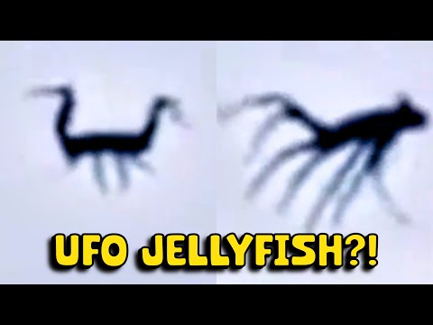 Mysterious UFO Spotted Over Baja California Makes Witnesses PANIC