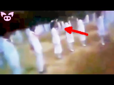 Weird and Freaky Stuff Found on the Internet