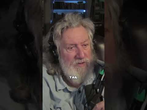 Why Comets Have Anti-Tails Pointing Toward the Sun