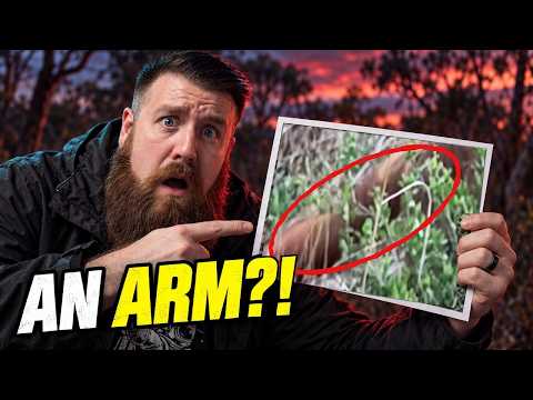 I Bet You Haven't Seen These Insane Photos