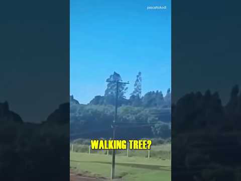 WALKING Tree