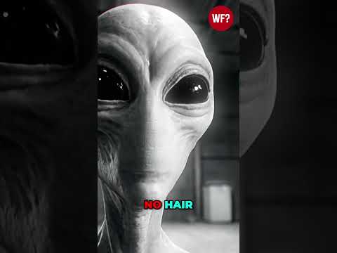 Alien Survivor Found: A Strange Discovery #shorts