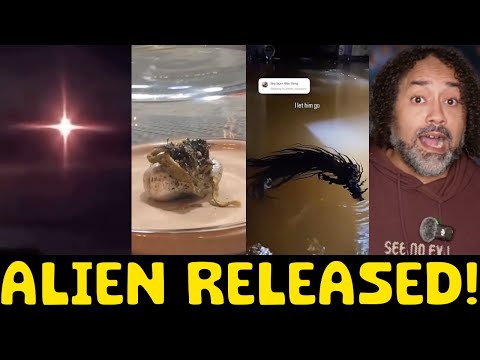 🚨 Alien Egg in Peru? King Panama’s UFO Creature Released Into the Wild! 👽🐣