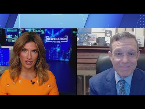 Scientists have a duty to investigate UAPs, says physicist | NewsNation Prime