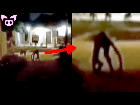Everyone's Searching For These Chilling Videos - The Haunted Doll Will Make You Shiver