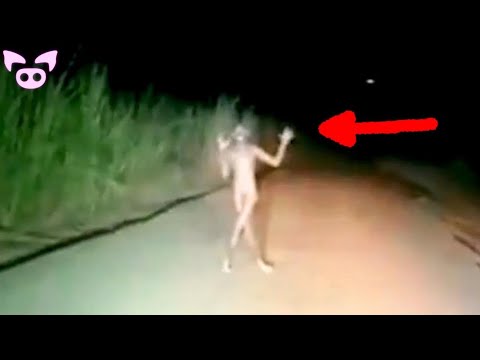 Slapped Ham's Scary Videos LIVE: Ghosts, UFO's, Cryptids, Time Travel and More!