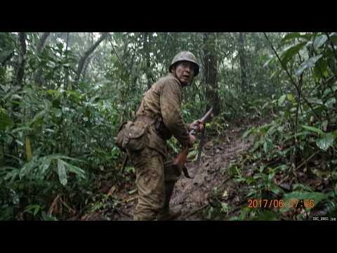 A WW2 Soldier Watched a Real Mermaid Die on a Beach