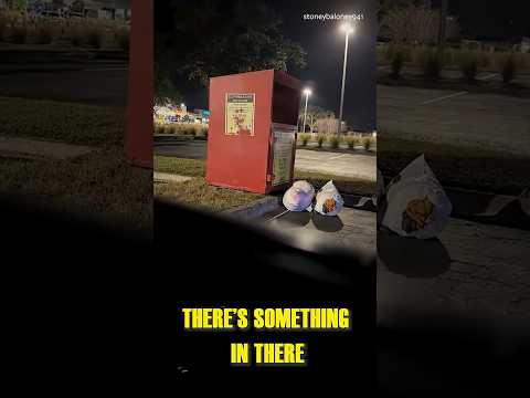 SOMETHING in the Bin...