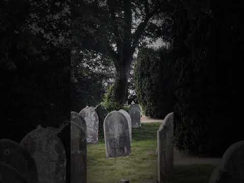 A wild meadow cemetery 🌼🪦🌼