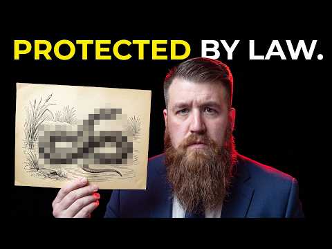 It's ILLEGAL To Kill Something That Doesn't Exist