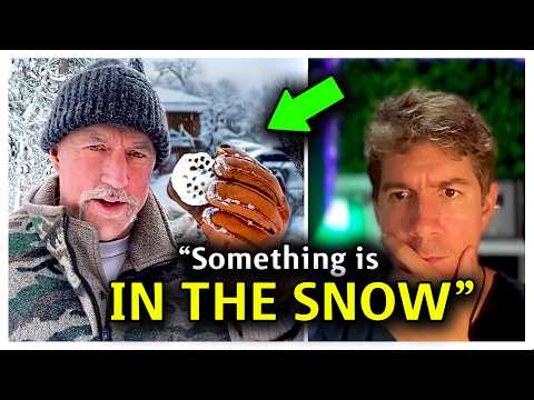 Why Is No One Talking About This?