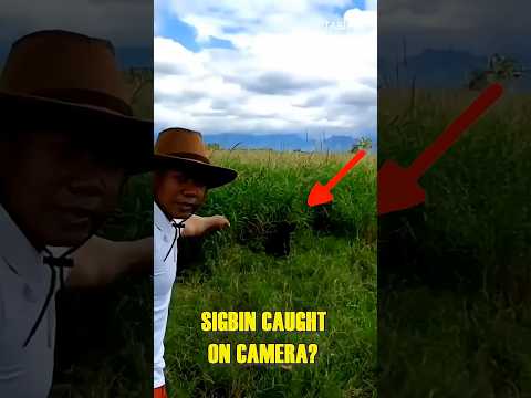 SIGBIN Caught on Camera?