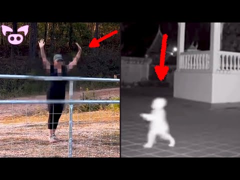 We Need To Talk About This Creepy Clip