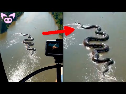 Top 10 Unexplained Events Caught on Camera